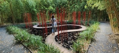 Un jardin planté de tiges rouges le long d’un chemin de bambous.
